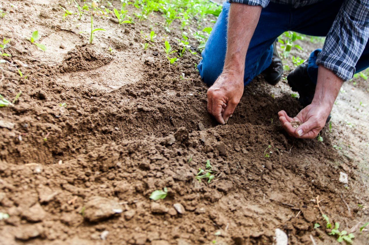 soil testing