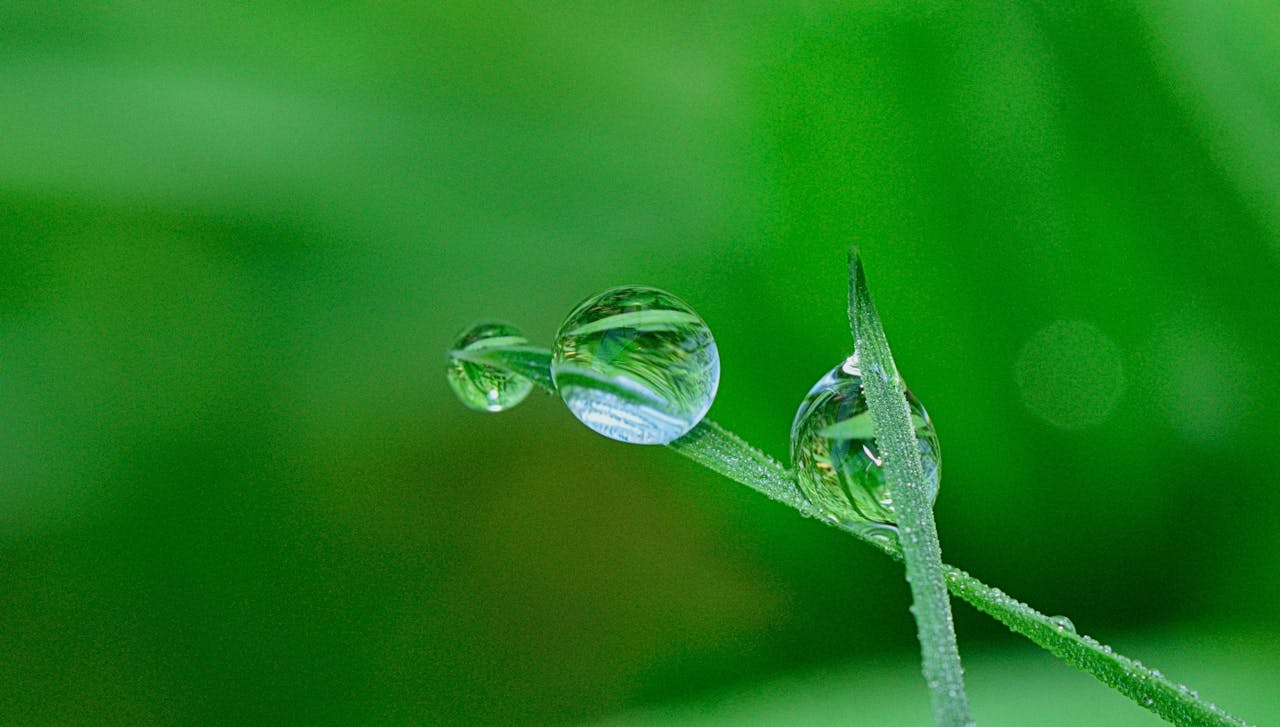 role of water testing laboratory near bhubaneswar in odisha, role of water testing laboratory near saheed nagar in bhubaneswar, Role of water testing laboratory, Role of water testing laboratory in india, Water testing methods, Drinking water testing parameters, Water Testing Laboratory near me, Water testing methods,