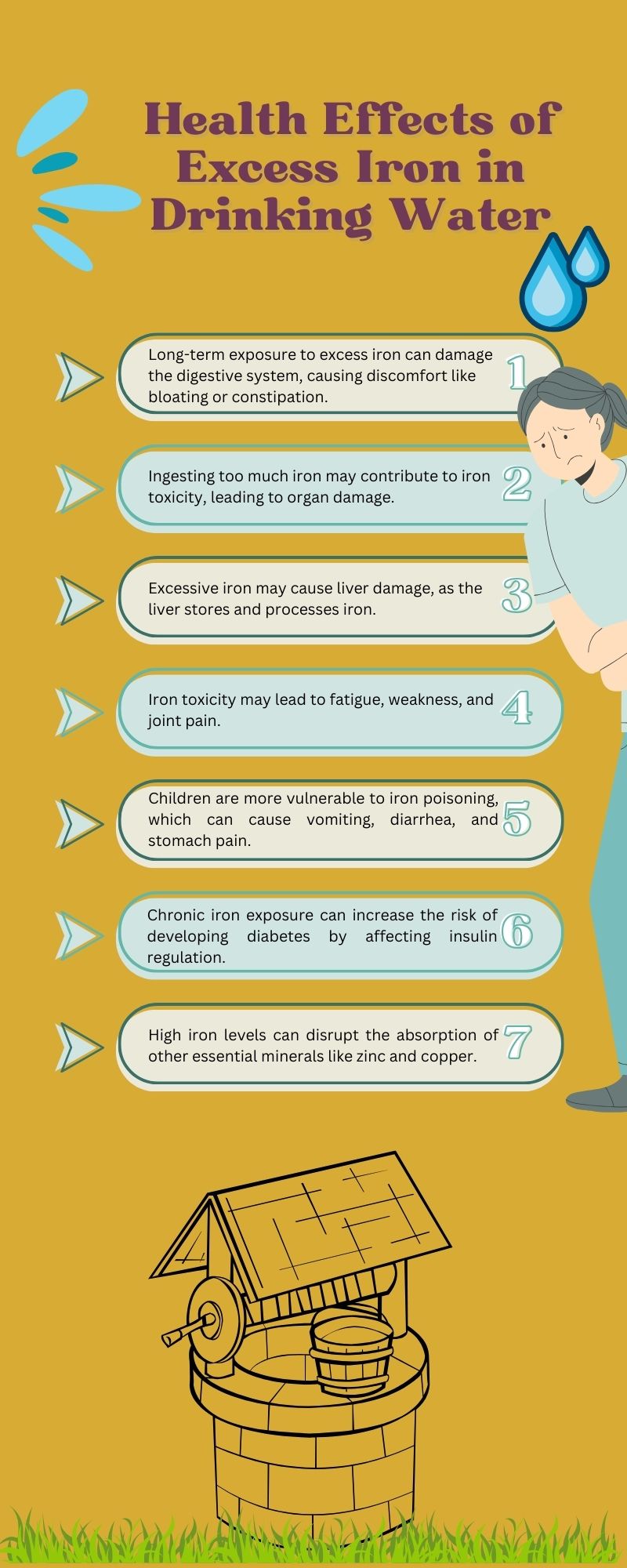 Health Effects of Excess Iron in Drinking Water