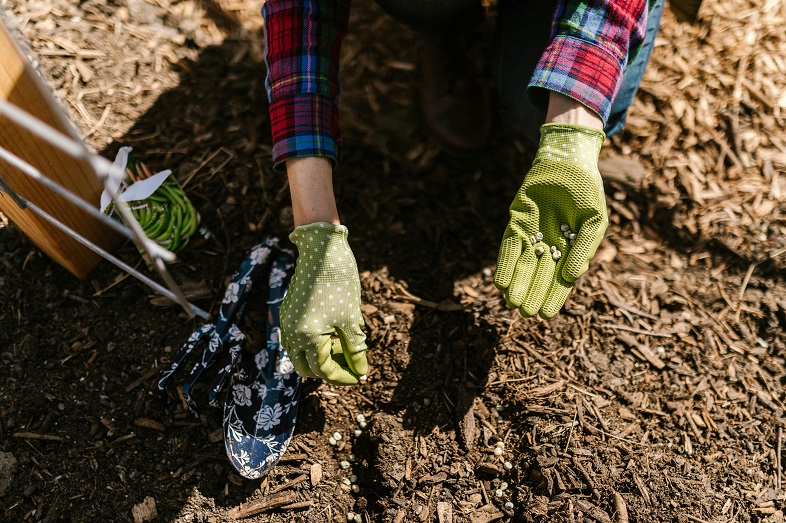 Microbial Analysis: A Key to Healthy Soil